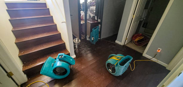 Local water damage restoration in MO