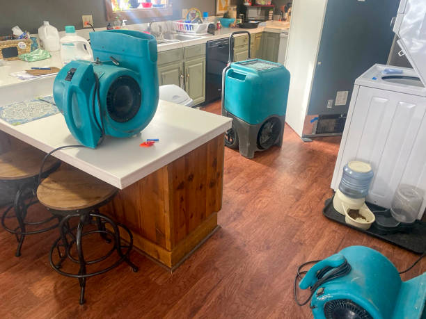 Best 24-hour water damage restoration  in Flint Hill, MO
