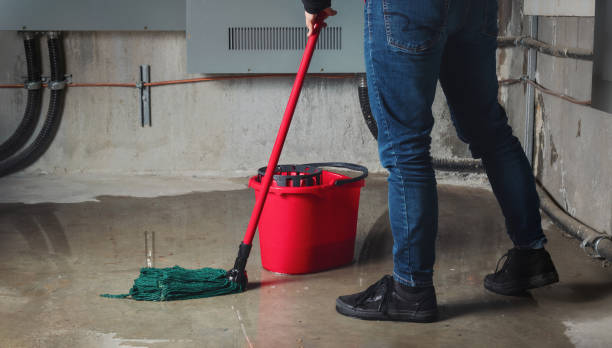 Best Water damage contractors near me  in Flint Hill, MO