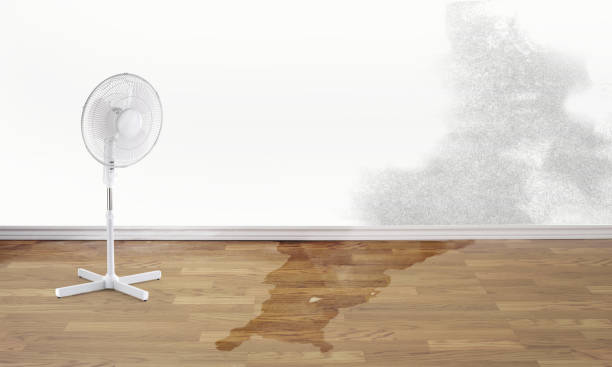 Best Fire Damage Restoration  in Flint Hill, MO