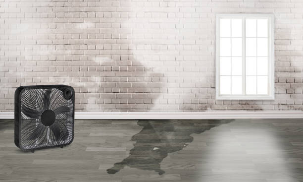 Best 24-hour water damage restoration  in Flint Hill, MO