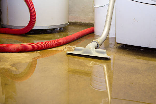 Best Flood restoration services  in Flint Hill, MO