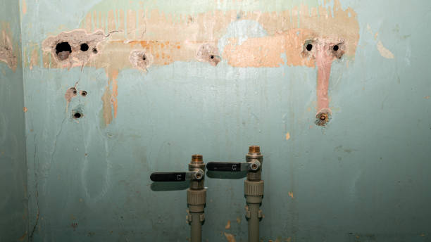 Best Emergency water damage restoration  in Flint Hill, MO