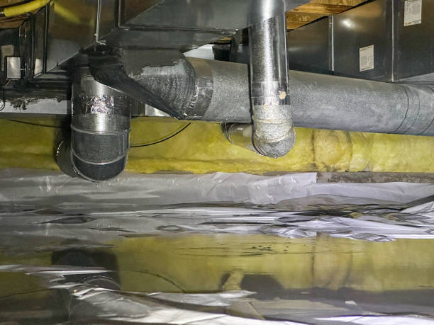 Best Sewage cleanup and water damage restoration  in Flint Hill, MO