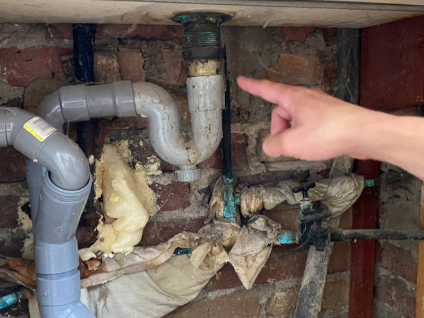 Best Flood restoration services  in Flint Hill, MO