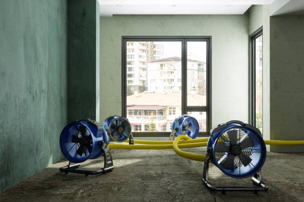 Best Water damage cleanup near me  in Flint Hill, MO
