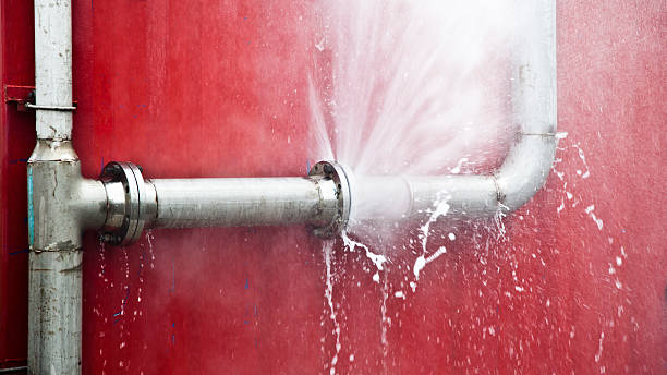 Best Water damage restoration experts  in Flint Hill, MO