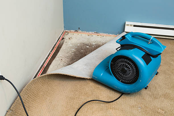 Best Commercial water damage restoration  in Flint Hill, MO